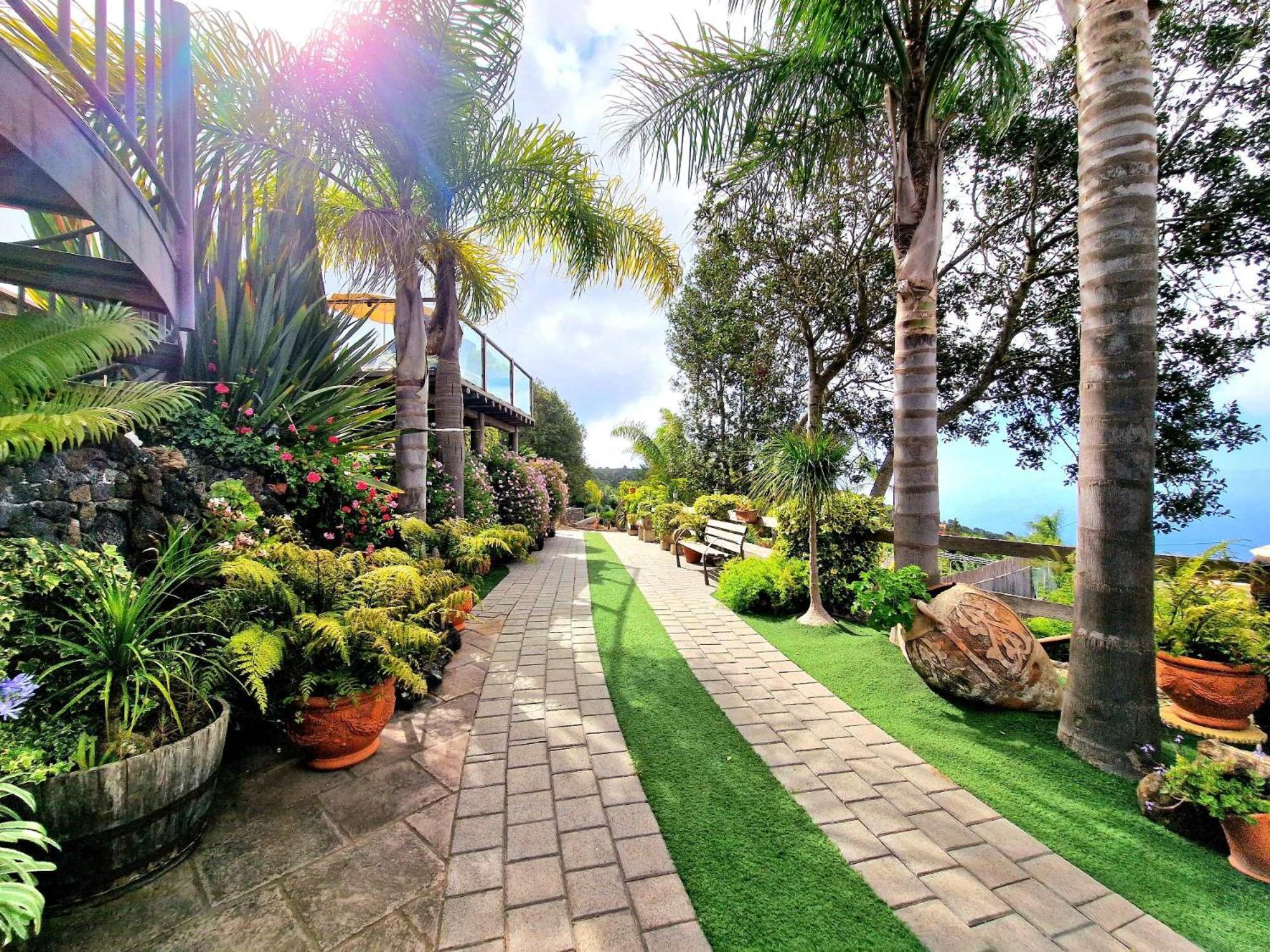 Finca Los Loros Icod De Los Vinos By Hrtenerife Net Santa Cruz de Tenerife Exterior photo
